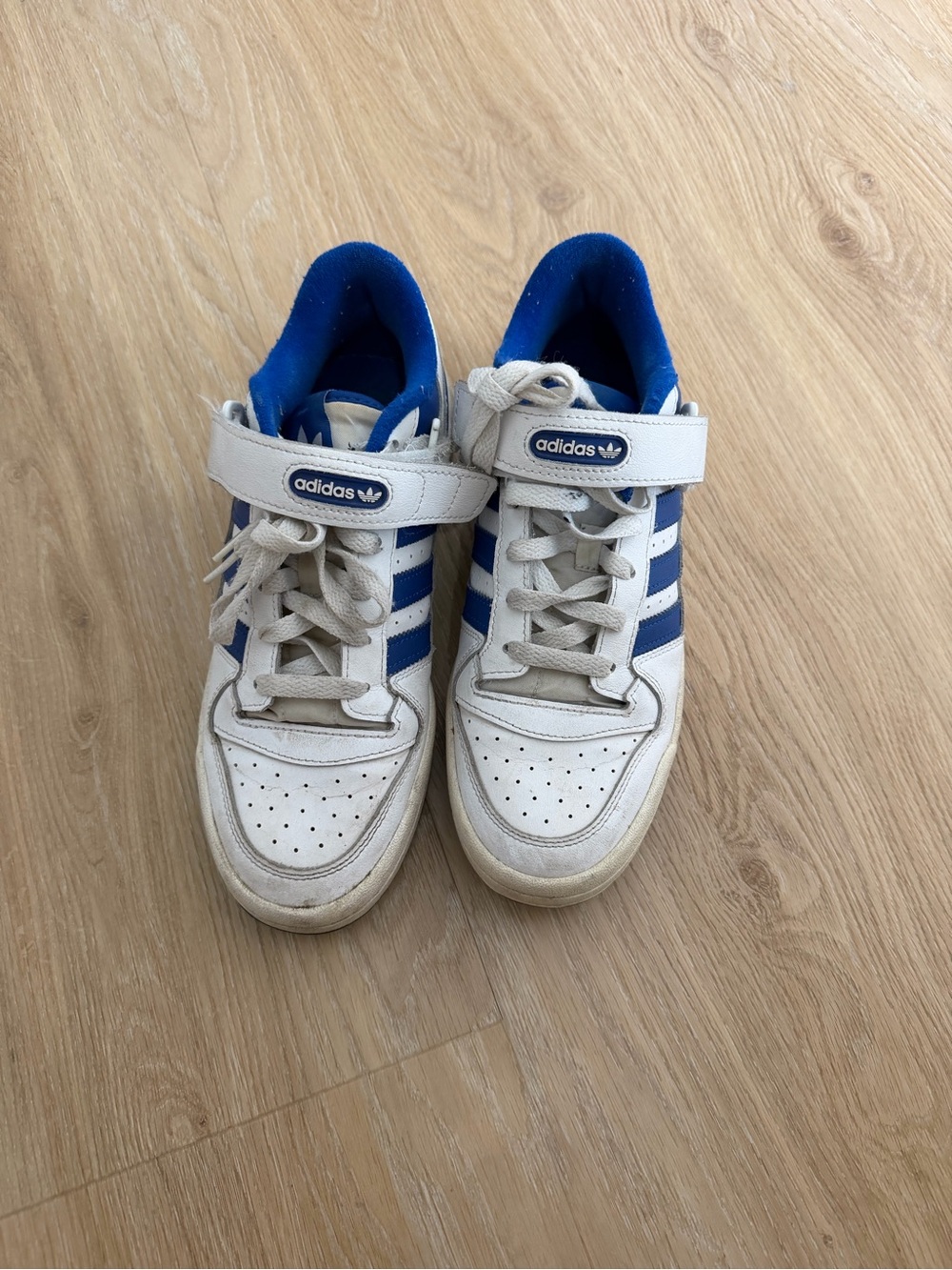adidas White and Blue Low-Top Sneakers with Velcro Strap